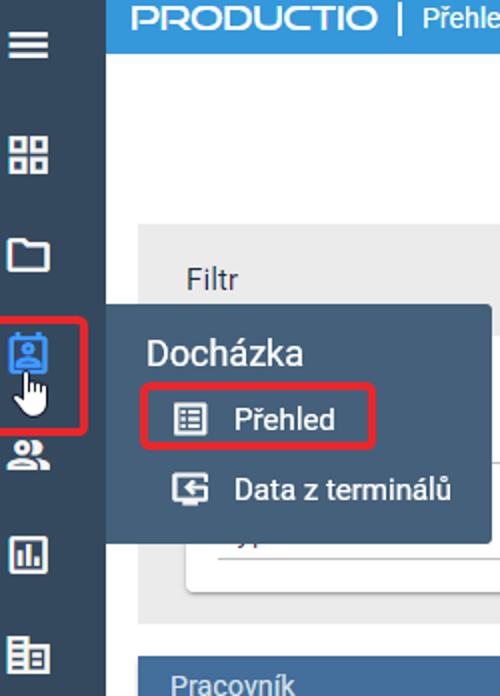 Dochazka Prehled